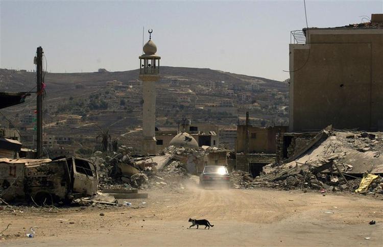 En kat går over vejen i et udbombet kvarter i Bint Jbeil i det sydlige Libanon. 