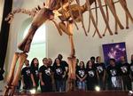 BRAZIL DINOSAUR