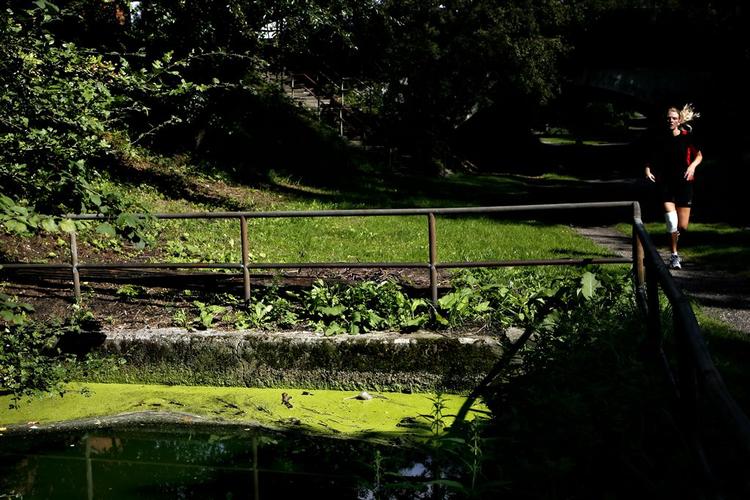 Utterslev Mose ved København lider under styrtregn, kloakudslip og dårlige leveforhold for dyr og planter. 