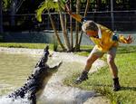 Steve Irwin død efter uheld på dykkerekspedition