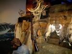 KOLDT. Sådan kunne Nielsen godt have set ud, mens han sad uden for den lille hytte, han og Johansen måtte bo i. Tableauet er fotograferet på Polarmuseet i Tromsø. - Foto: Pattypix 