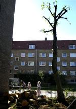 Socialdemokraterne vil ikke forhandle med regeringen om de almene boliger, så længe de dræner Landsbyggefonden for ressourcer. 