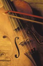 violin