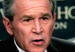 Tidligere CIA-agenter hævder nu, at præsident George W. Bush blev presset til at afsløre eksistensen af hemmelige fængsler i udlandet. 