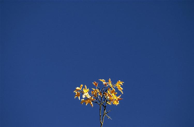Weekenden byder på blå himmel og op til 25 grader. 