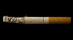 Gløden i denne cigaret bliver ved med at brænde -  også selv om der ikke bliver pulset på den. Det medfører hvert år dødsbrande. 