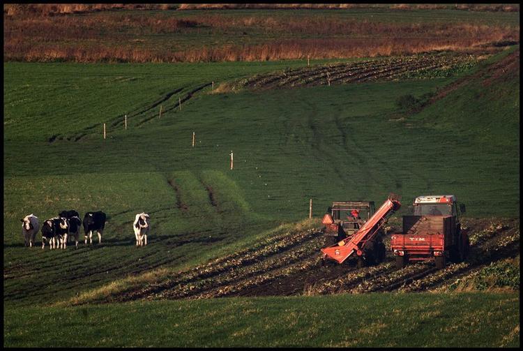 Fordelingen af EU's landdistriktsstøtte for perioden 2007-2013 skal snart falde på plads. Håbet er, at to tredjedele går til natur- og miljøformål. 