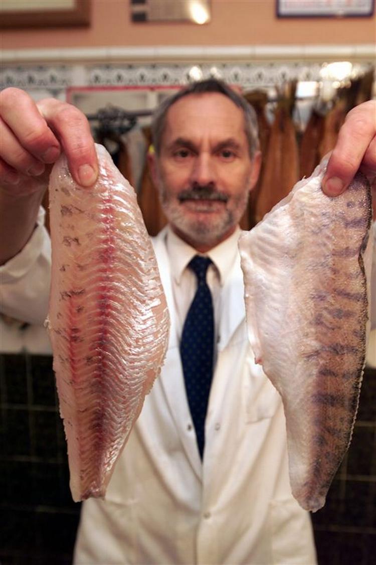 Fisk er godt. Ny undersøgelse viser, at risikoen for kræft nedbringes ved en ugentlig portion fisk. 