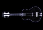 An x-ray of a guitar.