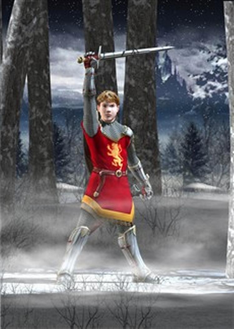 I spillene bygget over Narnia-filmen skal de fire Pevensie-unger styres sikkert gennem eventyrlandets farer, men kun gennem samarbejde. 
