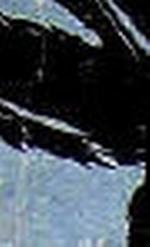 loxpatty1410_14-10-2006_7SPC7L.jpg