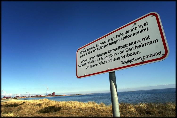 Investoren ATP har blåstemplet Cheminovas dokumentation for, at virksomheden ikke har forgiftet indere. 
