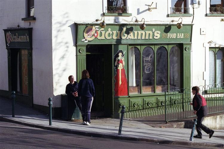 Økonomien i Irland blomstrer, og landet vil gerne lokke nogle af de emigrerede landsmænd tilbage. 