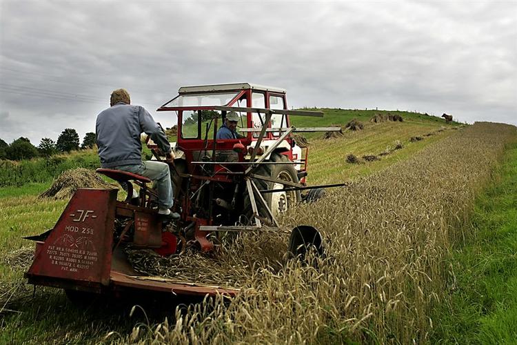 Danske landmænd har oftere vanskeligheder ved at høste penge nok til at forsørge sig selv. 