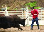 jackass2