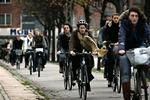 Det er hovedsageligt træerne, der har måtte bøje sig. Men cyklisterne måtte også finde sig i lidt modvind. 