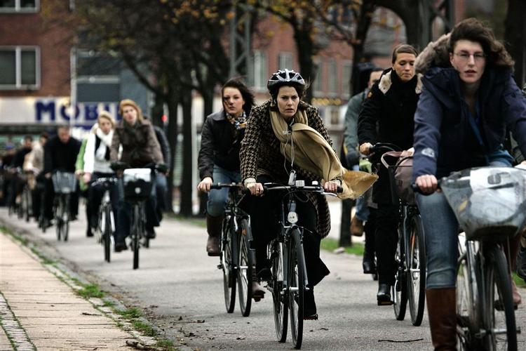 Det er hovedsageligt træerne, der har måtte bøje sig. Men cyklisterne måtte også finde sig i lidt modvind. 