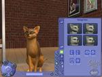 Det er muligt at negligere og til dels torturere sine kæledyr i 'The Sims 2: Pets', men den går ikke særligt længe, og de fleste vil nok også foretrække en glad, veltilpasset ven end et morderisk, bestialsk dræberdyr. 