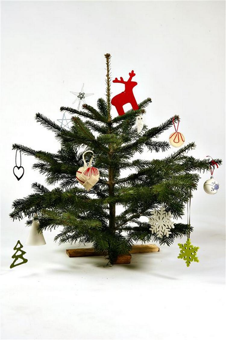 Juletræerne er ikke længere så belastede af sprøjtegifte, når de indtager de danske stuer. 