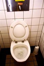 Dette er ikke et kunstværk, men et ganske almindeligt dansk toilet, der ikke afspiller 'Der Er Et Yndigt Land'. 