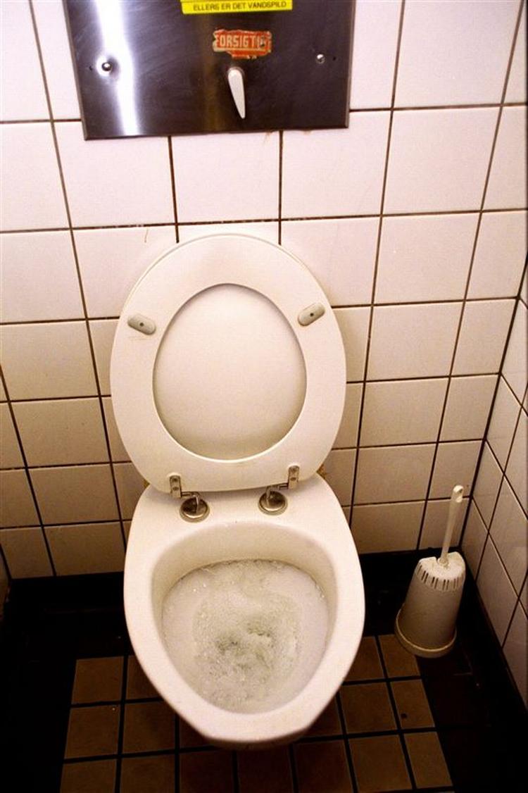 Dette er ikke et kunstværk, men et ganske almindeligt dansk toilet, der ikke afspiller 'Der Er Et Yndigt Land'. 