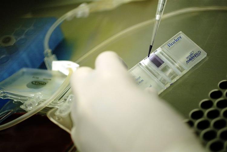 Med tilladelsen til at skabe et embryo af æg fra en ko og DNA fra et menneske håber forskerne at kunne nå længere med stamcelleteknologien. I Danmark markedsfører flere firmaer nedfrysning af navlestrengsblod, som indeholder stamceller. 