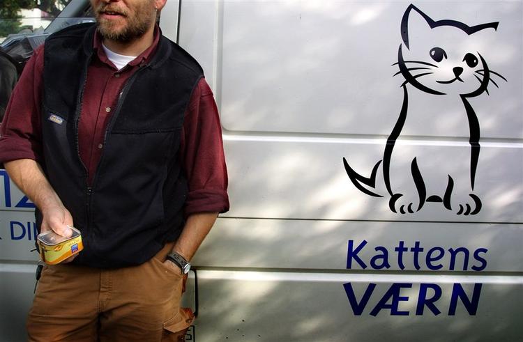 Kattens Værn har altid tilbudt gratis testamenter, bare ikke markedsført dem. Det gør foreningen nu. 