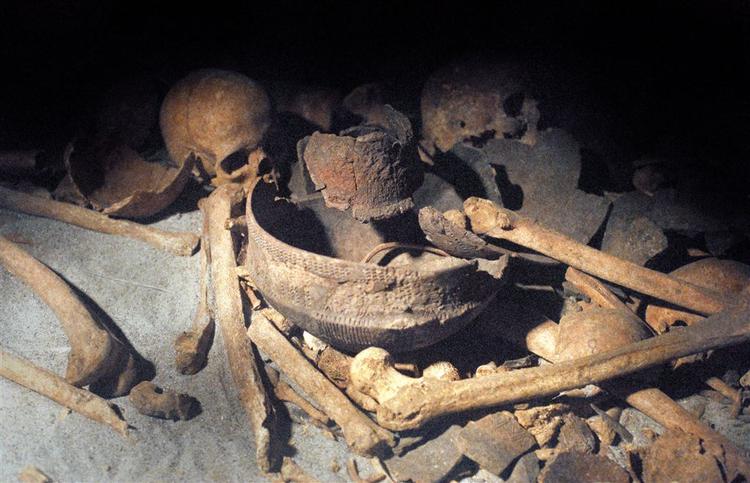 En 38.000 år gammel knogle fra en neandertal bliver for tiden undersøgt for at finde forbindelsen til homo sapiens, altså nutidsmennesket, som dette skelet fra nationalmuseet stammer fra. 