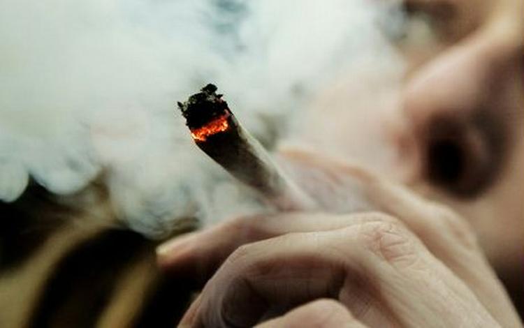 Marihuana har en lindrende effekt på alvorlig nervesygdom, fastslår forskning. 