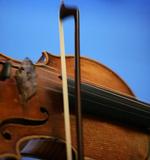 Violin - Jens Dresling