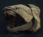 Kæmpefisken Dunkleosteus levede for 460 millioner år siden. Nu har forskere fundet ud af, at fisken havde ét af de mest kraftfulde bid, der nogensinde har eksisteret. 