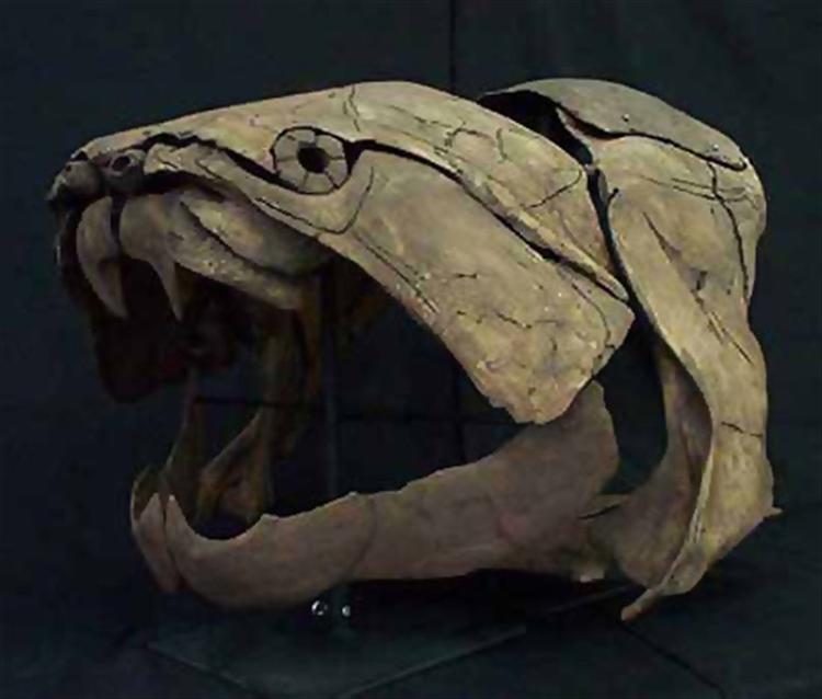 Kæmpefisken Dunkleosteus levede for 460 millioner år siden. Nu har forskere fundet ud af, at fisken havde ét af de mest kraftfulde bid, der nogensinde har eksisteret. 