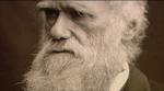 »Hvor ville jeg dog ønske, at De kunne tro på evolutionen«, skrev Darwin for 125 år siden til en dansk professor. Brevet kan læses på den nye Darwin-hjemmeside. 