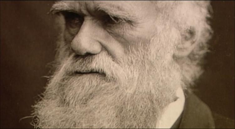 »Hvor ville jeg dog ønske, at De kunne tro på evolutionen«, skrev Darwin for 125 år siden til en dansk professor. Brevet kan læses på den nye Darwin-hjemmeside. 