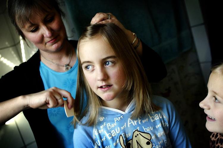 Lus kan flytte sig utrolig hurtigt, så det er vigtigt at bruge tættekammen korrekt. 