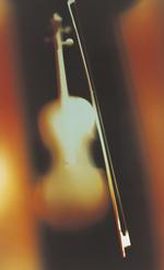 Violin -polfoto2
