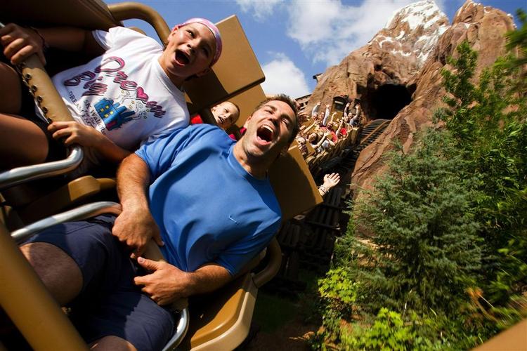 Danskerne, der vil arbejde i Disney World, skal selv betale flybillet til og fra Florida samt sygeforsikring. 