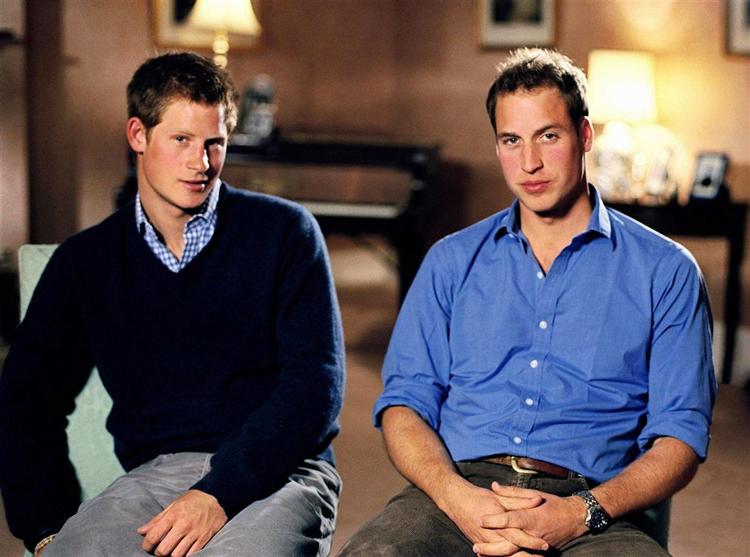 Prins Harry (tv) og prins William (th) arrangerer stor koncert for at mindes deres mor. 