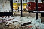Nørrebro dagen derpå. 