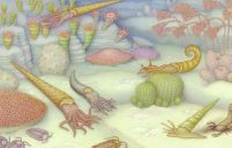 Sådan forestiller man sig liv i havet i den kambriske periode. Illustration: Saint Anselm College. 