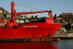 Containerskibet Naja Arctica er 133 meter langt og bygget af Danyard i Frederikshavn i 1994. Skibet ligger på den plads i Sisimiuts havn, som Vædderen havde regnet med at få. - Foto: Anders Legarth Schmidt 