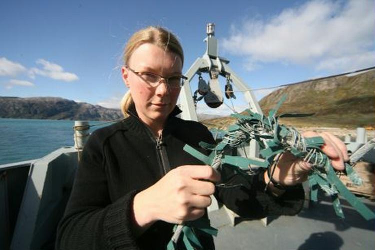 Forsker Karen Marie Hilligsøe med flænset wire. De grønne tråde er til for at holde wiren stabilt i vandet. - foto: Michael Yde Katballe 