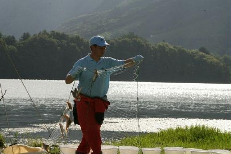 Dagens fangst. Alle fisk på Azorerne er formentlig sat ud. Typisk aborrer, skaller og gedder. Her ses biolog Frank Landkildehus. - Foto: Lasse Christensen. 