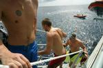 Vædderens besætning lider i varmen, og fik lov til at hoppe i havet. - Foto: Lasse Kristensen 
