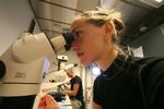 Xenia Salomonsen undersøger på vandlopper. Bagerst biolog Alf Skovgaard. - Foto: Henrik Helsgaun 