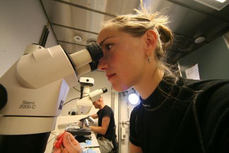 Xenia Salomonsen undersøger på vandlopper. Bagerst biolog Alf Skovgaard. - Foto: Henrik Helsgaun 