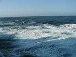 Atlanterhavet på ' Vædderens' kurs. Foto: Jeanette Ringkøbing 