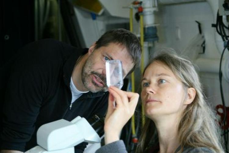 Jørn Smedsgaard og Eva Friis Møller leder efter tre vandlopper, der måske bærer på antibakterielle bakterier. Foto: Michael Yde Katballe 