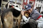 De hjemløse passer godt på deres hunde. Det mener dyrlæge Stine Jacobsen, som tilser de hjemløses hunde. 