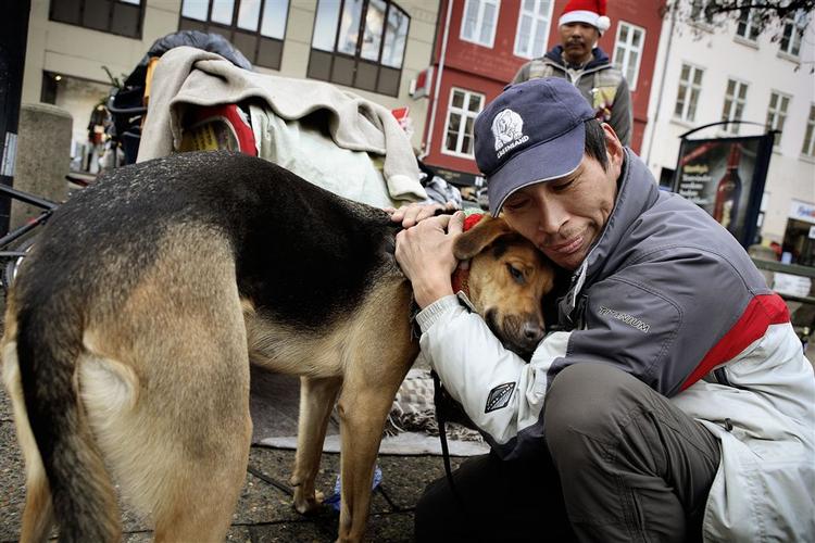 De hjemløse passer godt på deres hunde. Det mener dyrlæge Stine Jacobsen, som tilser de hjemløses hunde. 